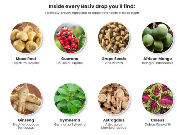 BeLiv Reviews- A Herb for Diabetes