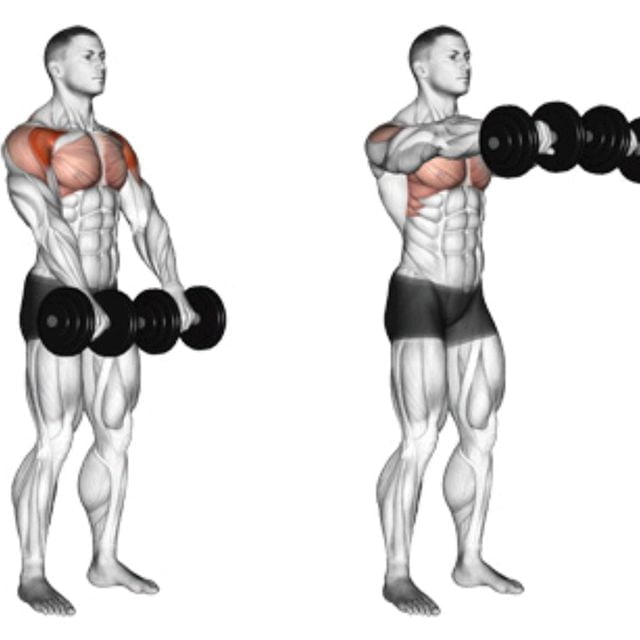 Dumbbell Shoulder Workouts