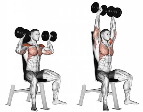 Dumbbell Shoulder Workouts