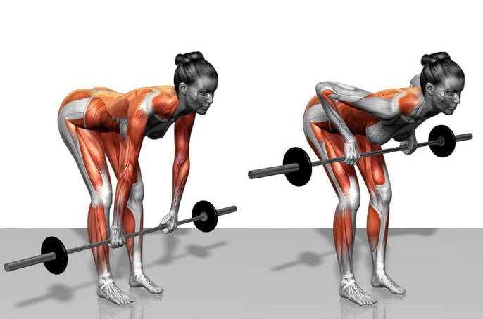 Compound Bicep Workouts