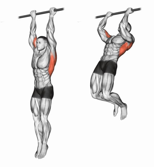 Compound Bicep Workouts