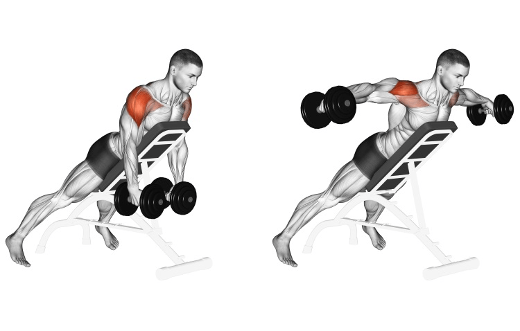 Extraordinary Shoulder Workouts You Should Try