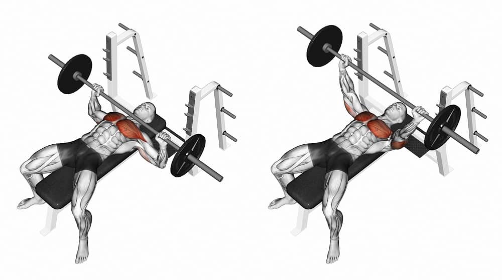 Best Chest Workouts