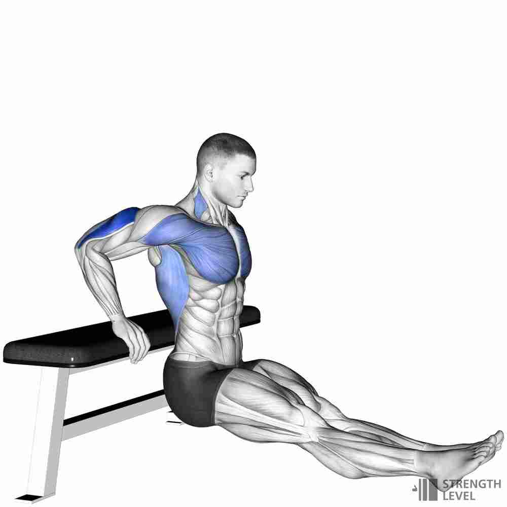 Tricep Bench Dip: Lateral head tricep exercise