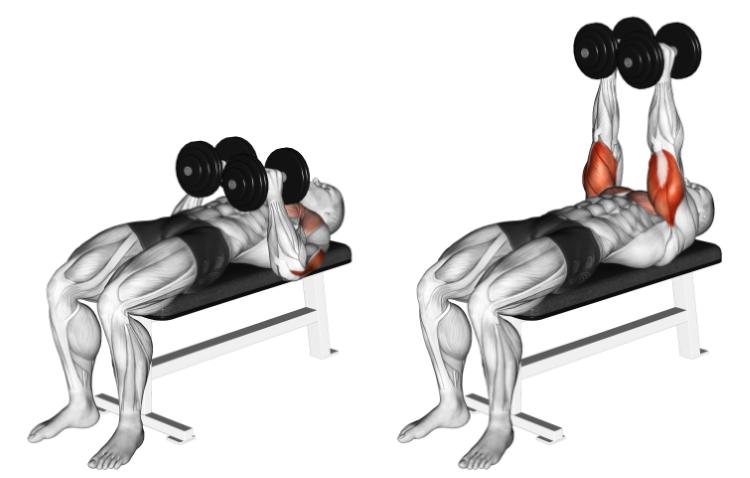 Close-Grip Bench Press: Lateral head tricep exercise