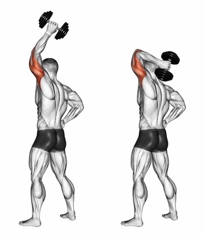 Single-Arm Overhead Tricep Extension: Lateral head tricep exercise