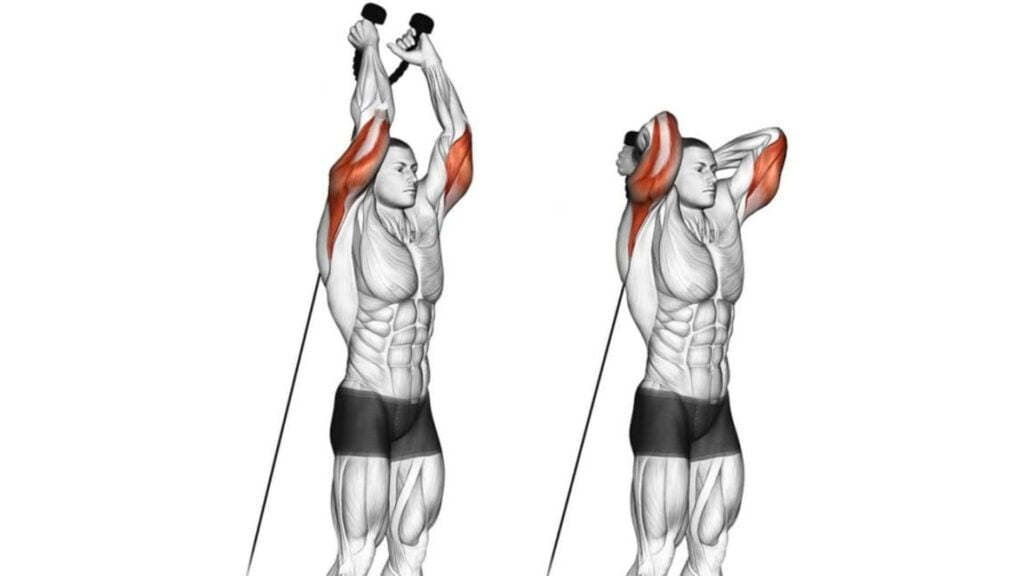 best Long Head Tricep Exercises