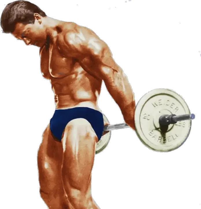 Long Head Tricep Exercises