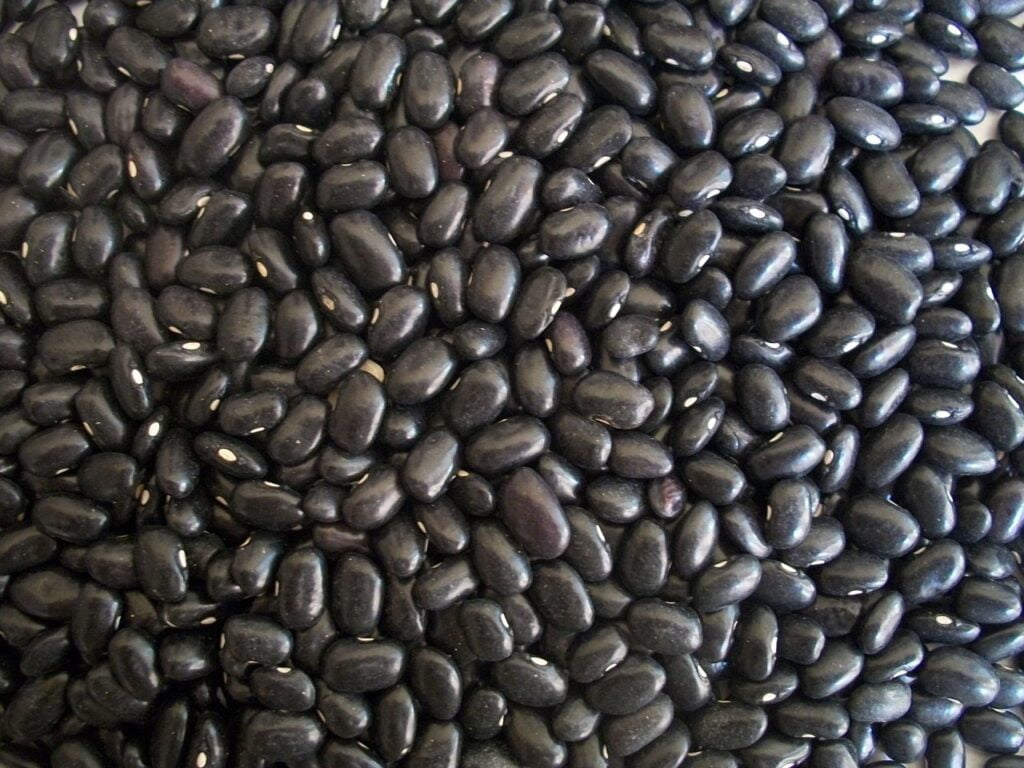 Black Beans Health Benefits for Skin