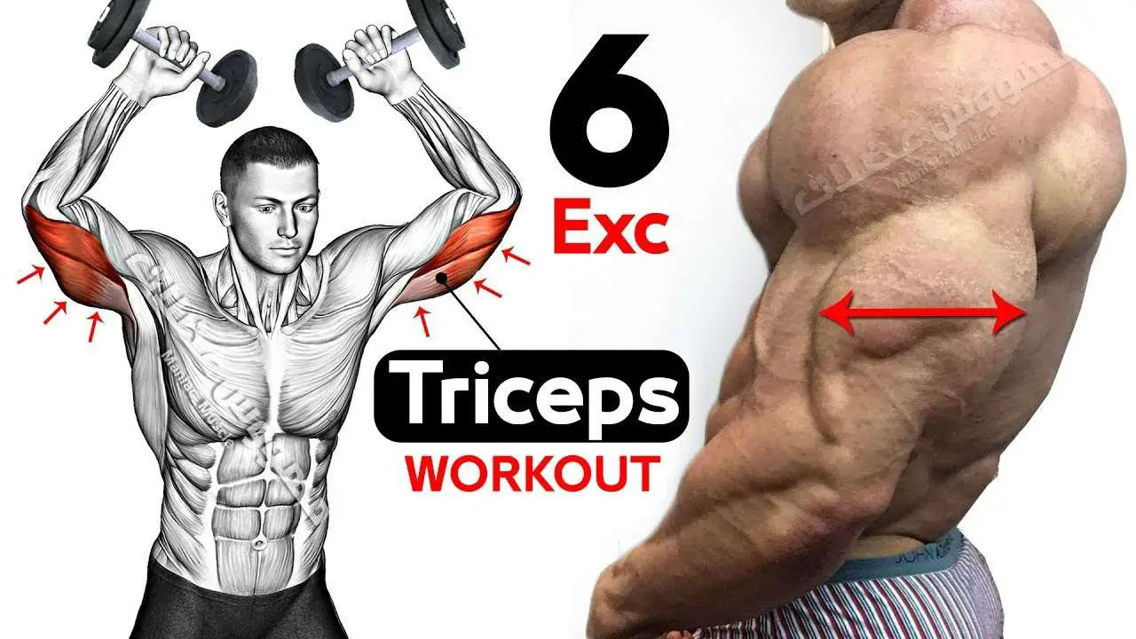 Best Long Head Tricep Exercises