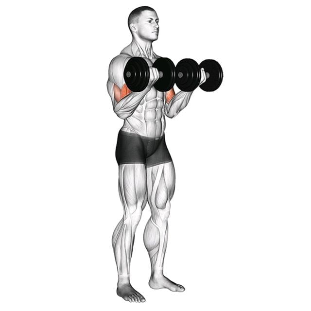 Weight Training Tips for Beginners