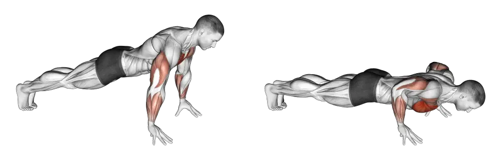 Forearm Workouts At Home Without Equipment