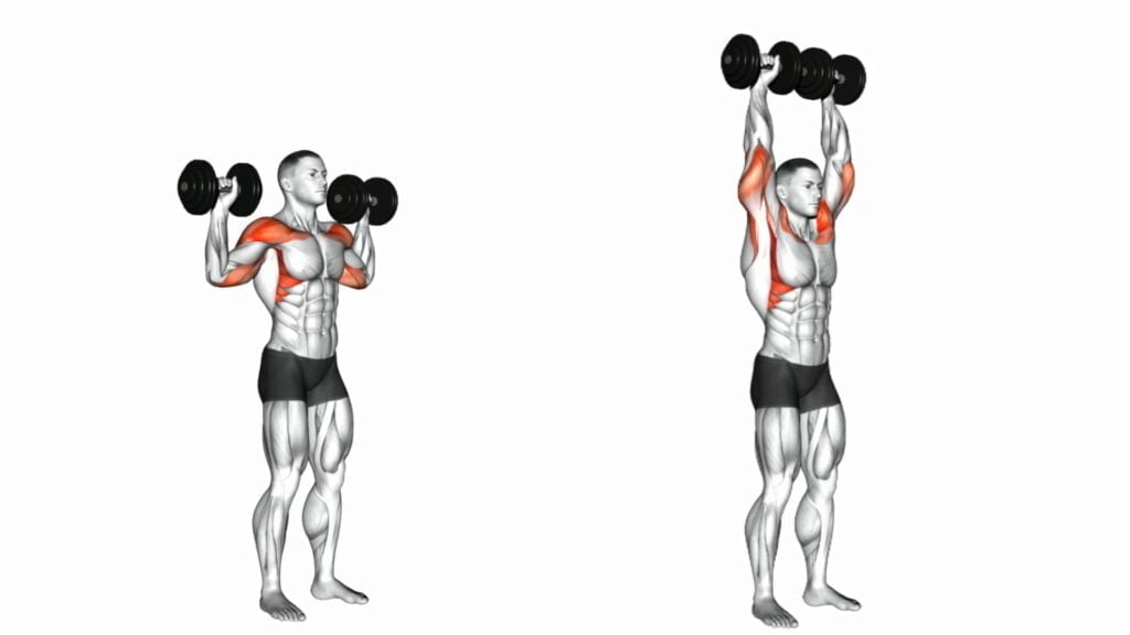 Intense Arm Workout With dumbbells