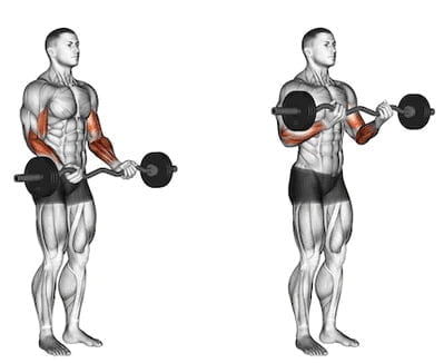 Bicep Curl Variations for Huge Arms