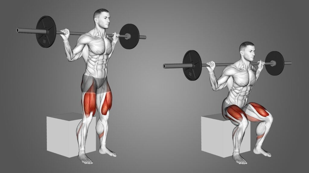 How Squats Work Abs?