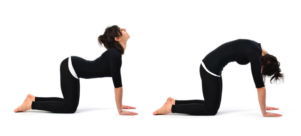 Posture-improving Back Exercises