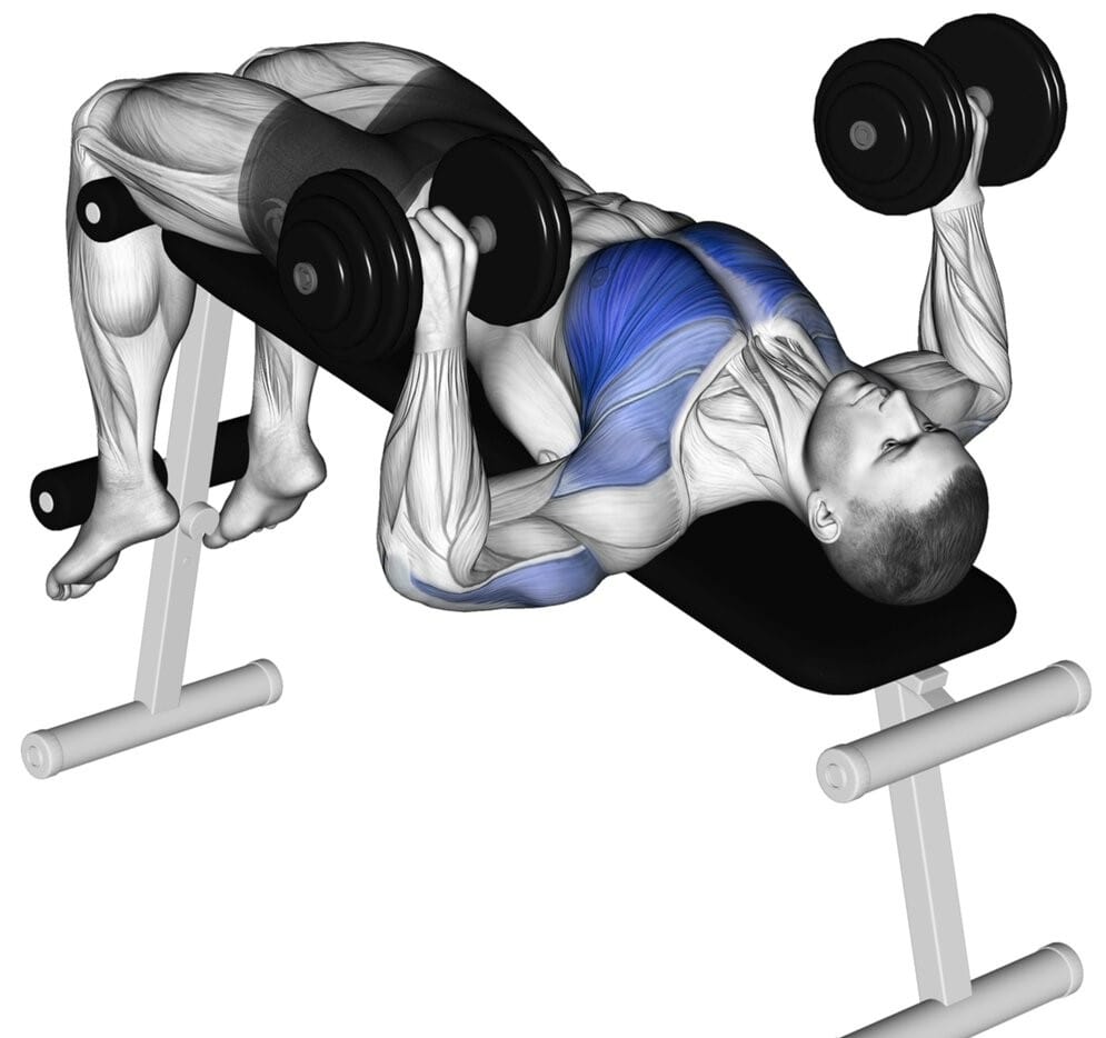 Dumbbell Lower Chest Workout