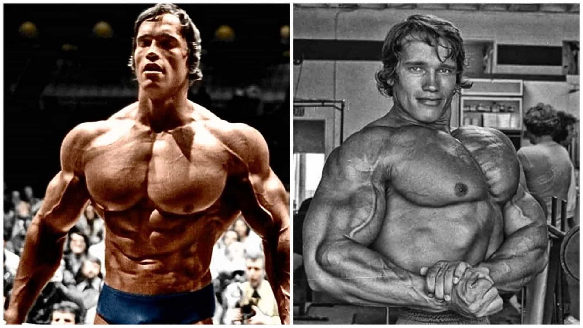 Arnold's Chest Workout Routine