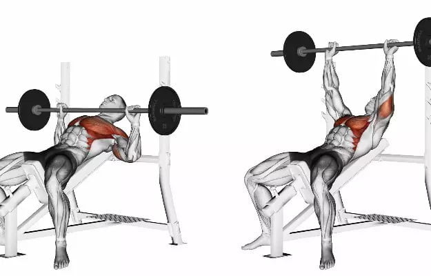 Power Up Your Bench Press