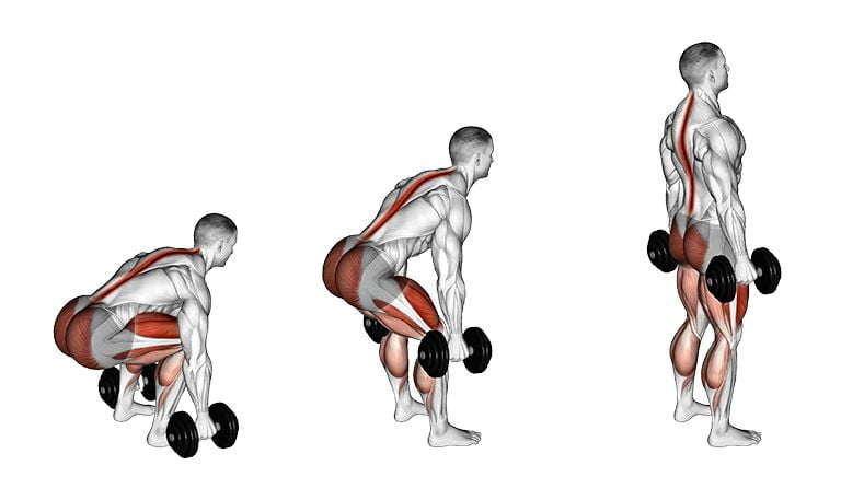 lat workout with dumbbells