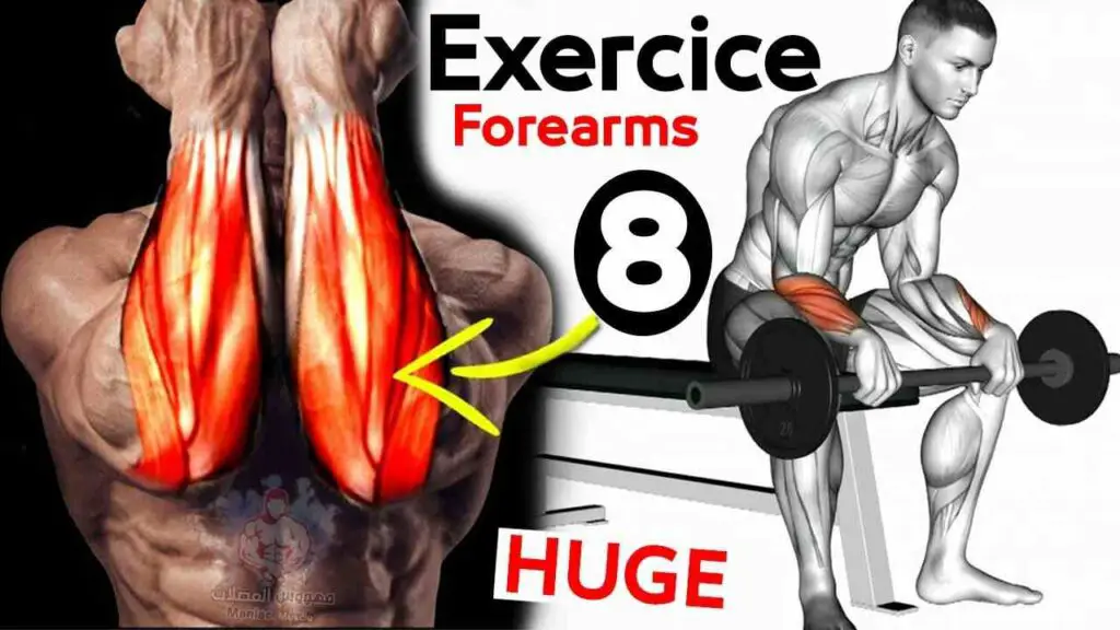 Effective Tips for Forearm Mass Building