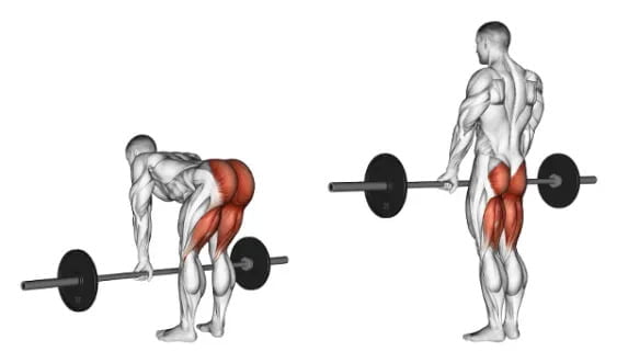 Effective Glute Activation Exercises
