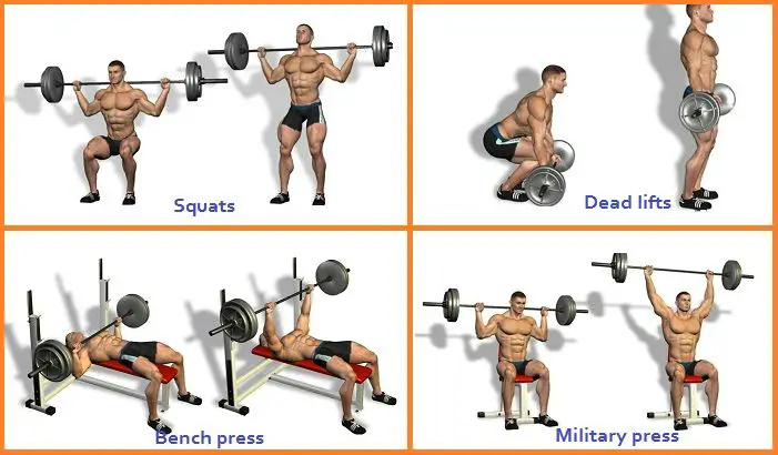 Muscle Building With Compound Exercises