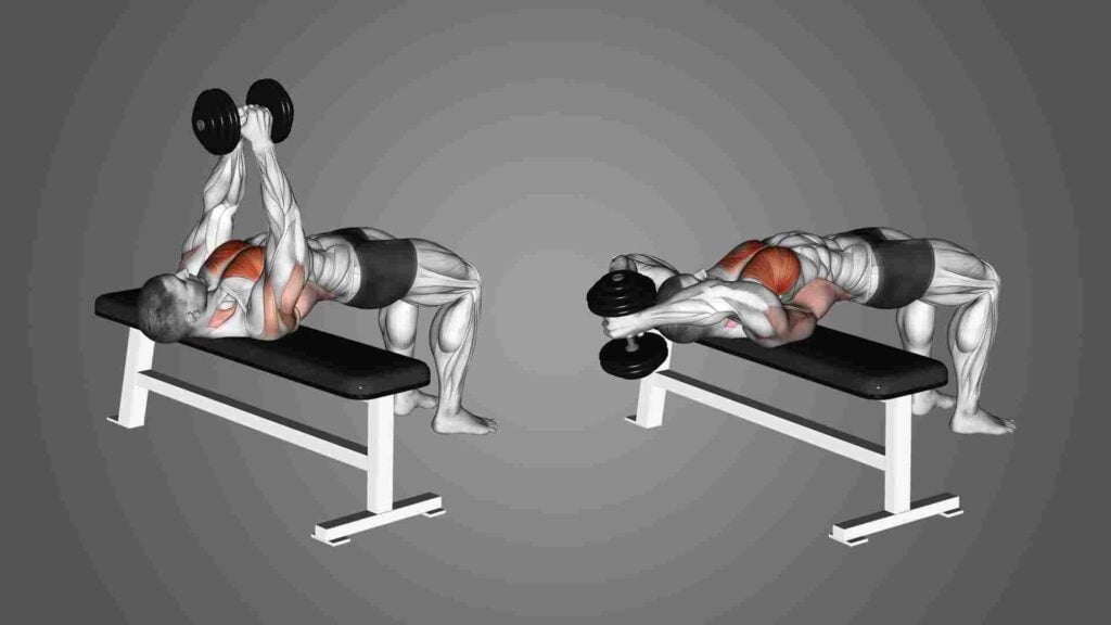 Back Workout with Dumbbells at Home