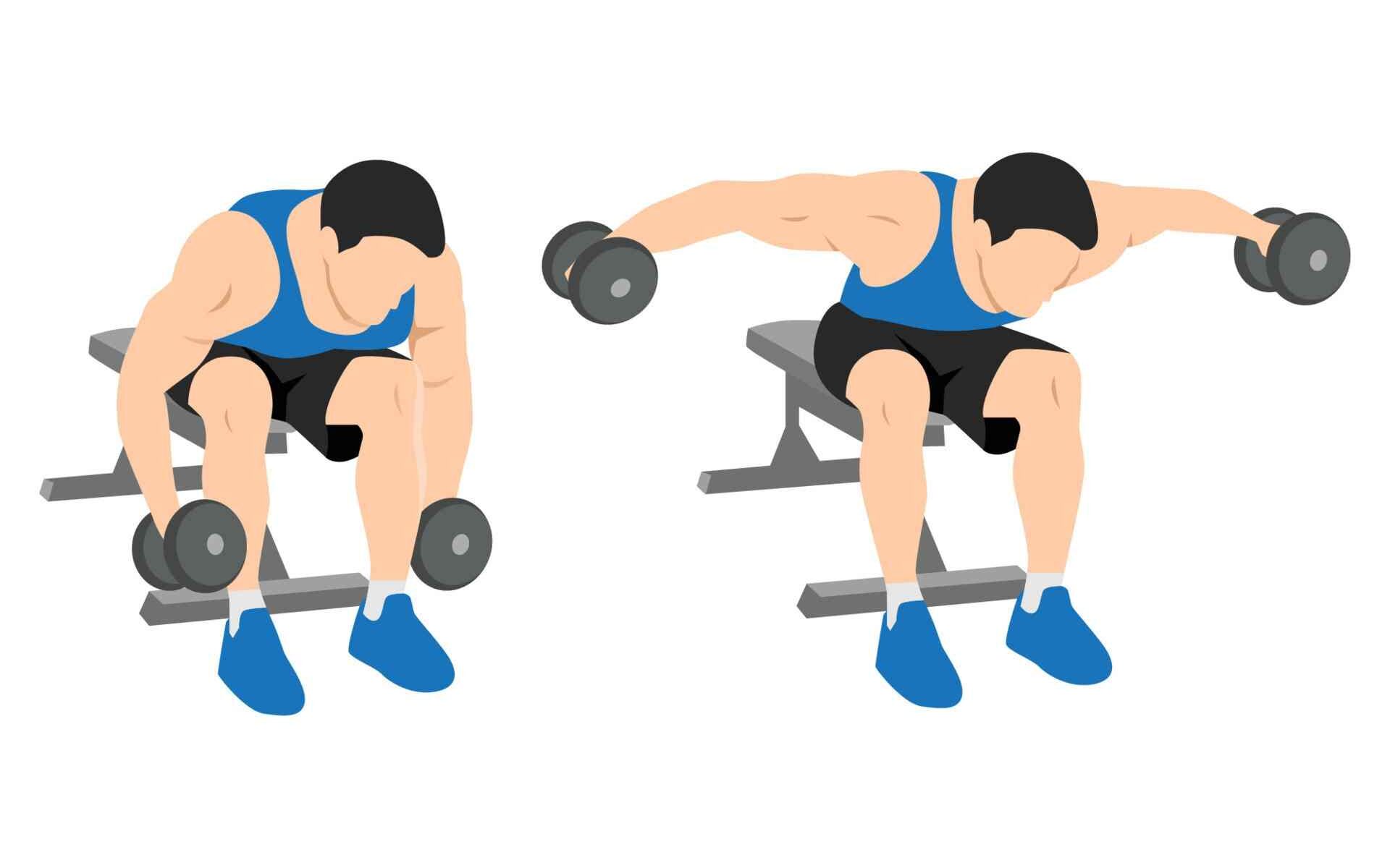 Rear Delt Exercises with Dumbbells