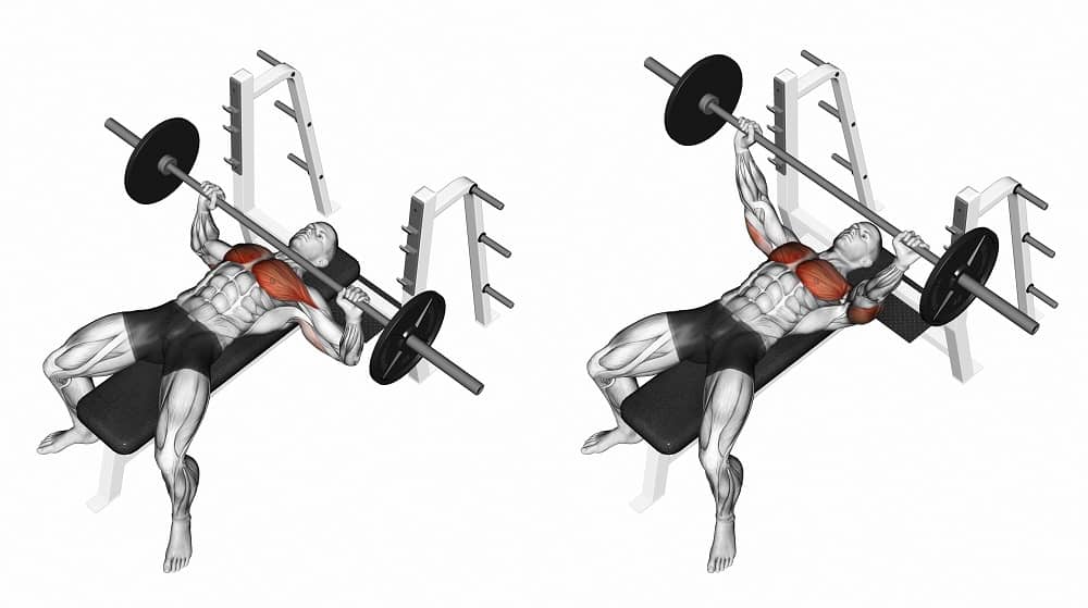 Compound Exercises for muscle building