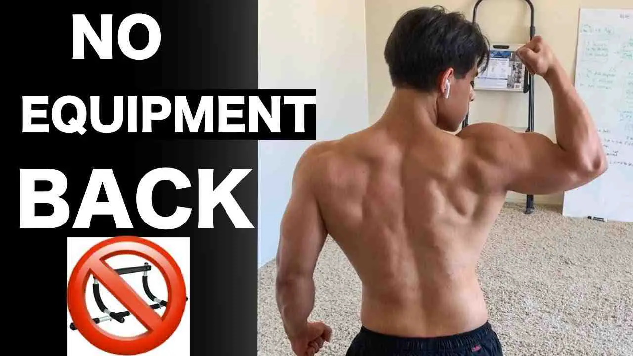 Back Workouts at Home Without Equipment