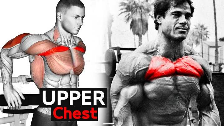 Upper Chest Workout with Cable