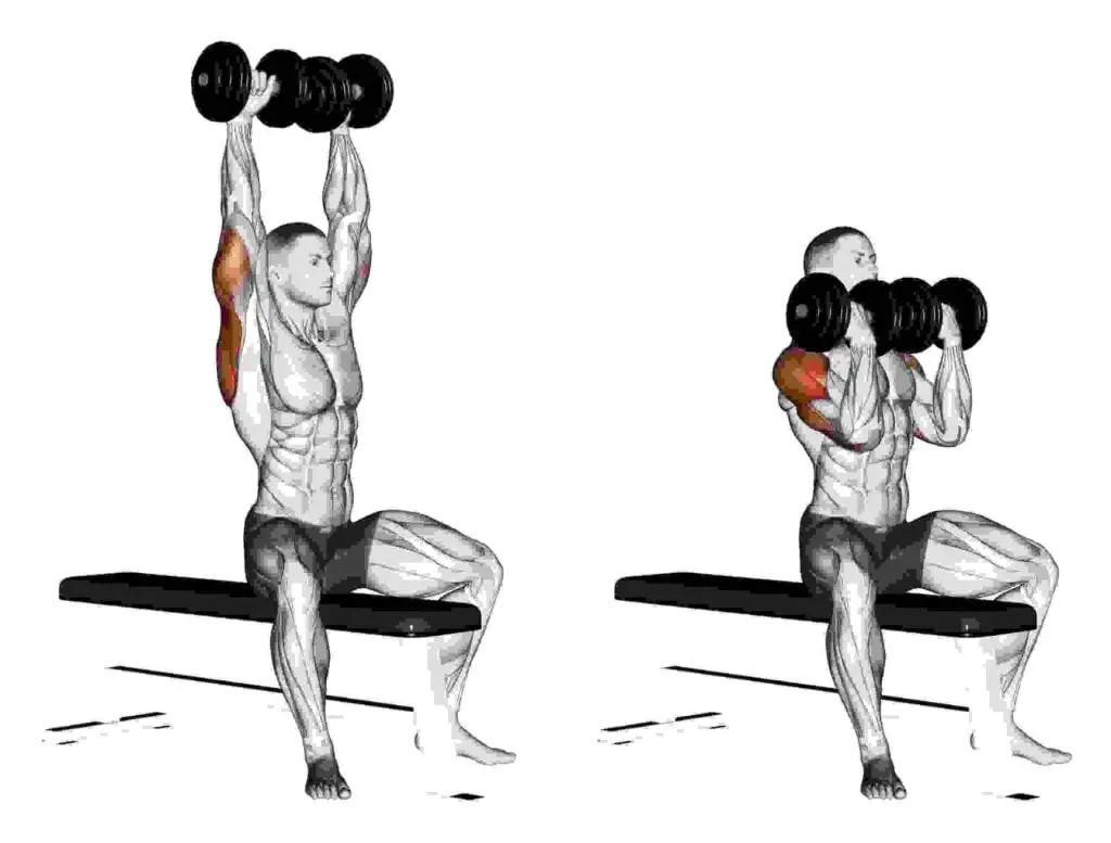 Workout for Bigger and Wider Shoulder