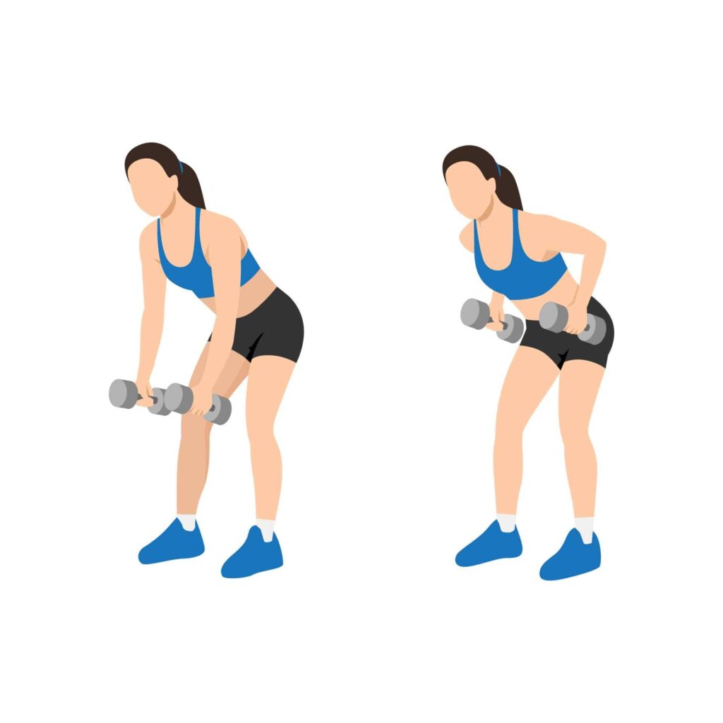 Pull Exercises with Dumbbells