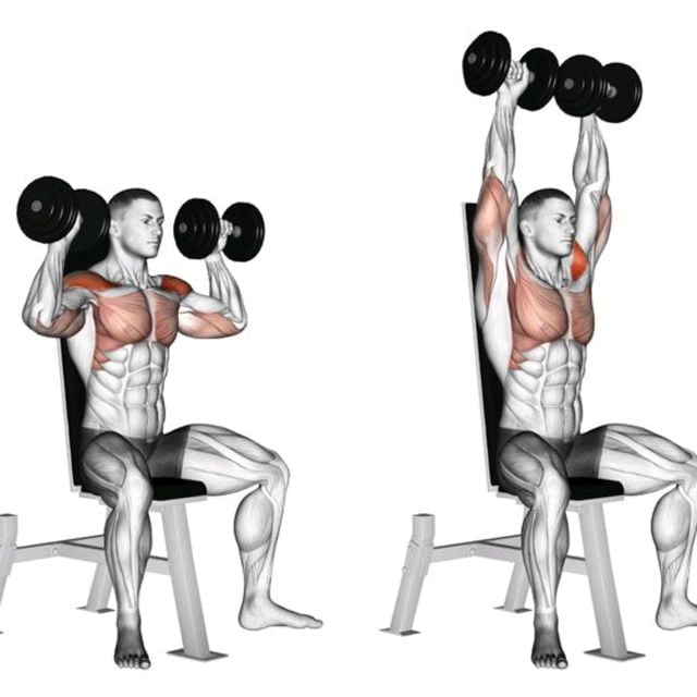 Exercises for Dislocated Shoulders