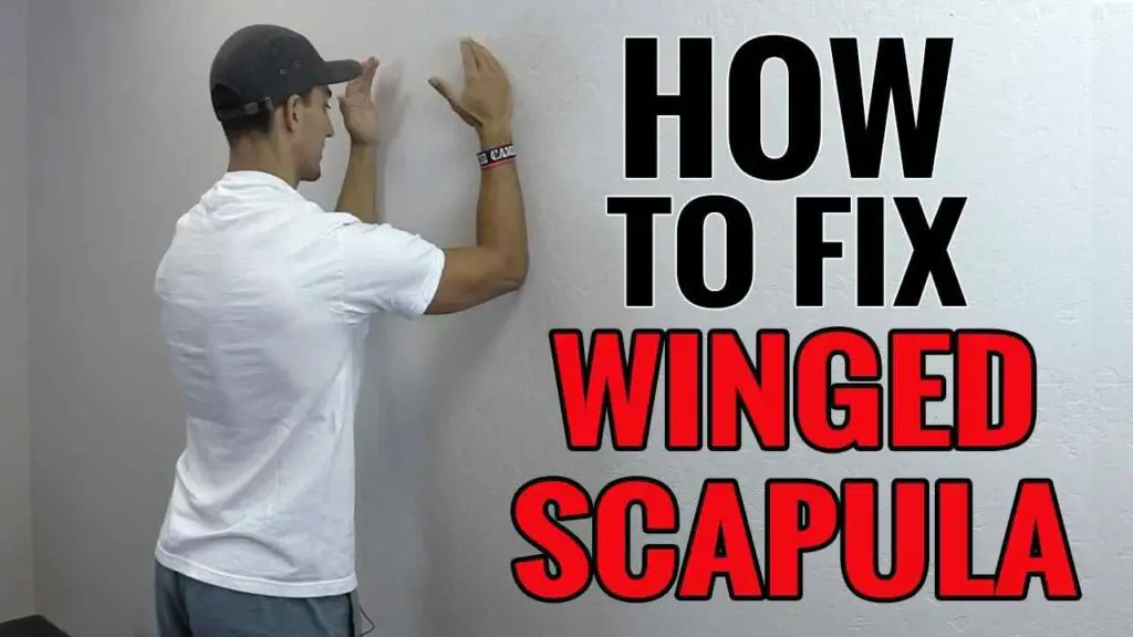 Exercises for Winging of Scapula