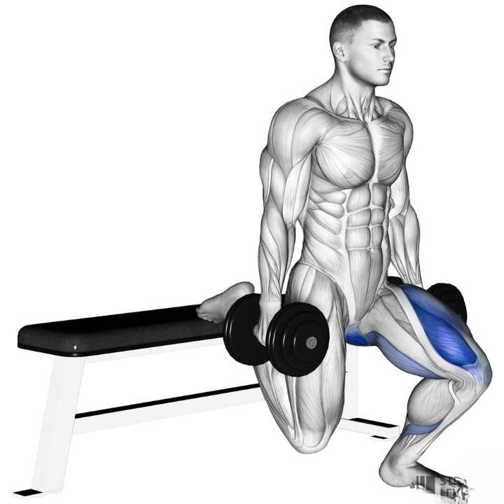 Quad Workouts with Dumbbells for intermediate