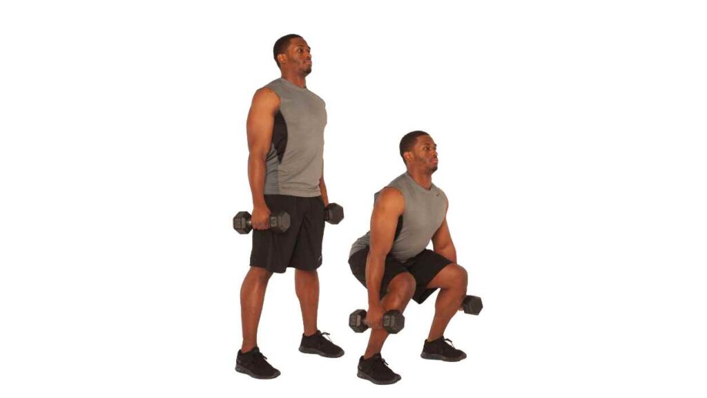 Quad Workouts with Dumbbells for beginners