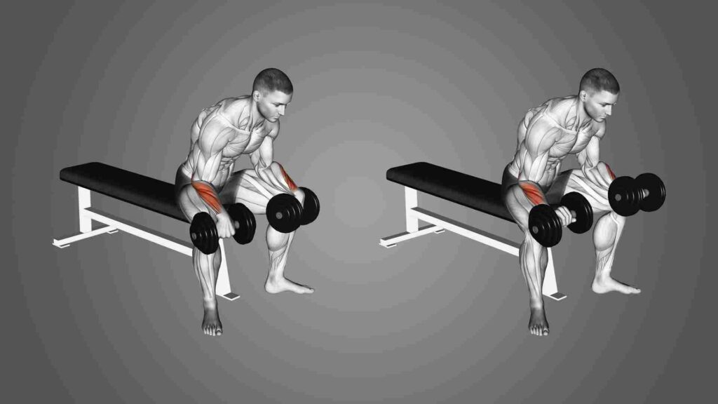 Forearm Workout with Dumbbells