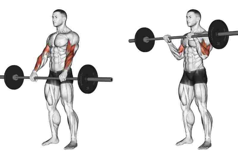 Forearm Workout with Dumbbells