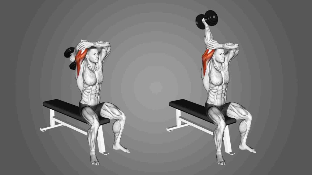 Overhead Tricep Press