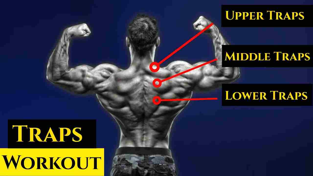 Dumbbell Trap Workout