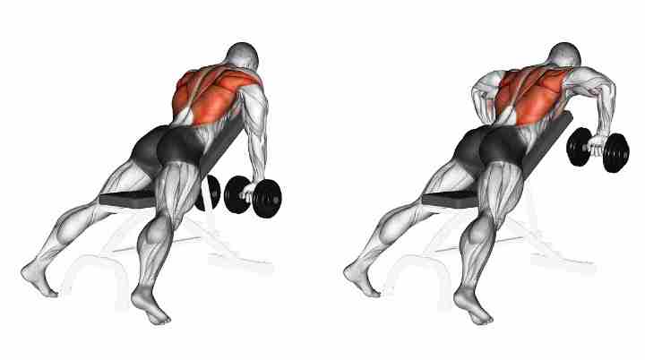 Incline Dumbbell Rows