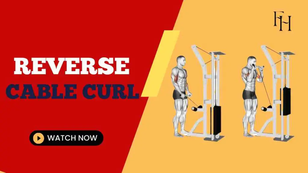 Reverse Cable Curl