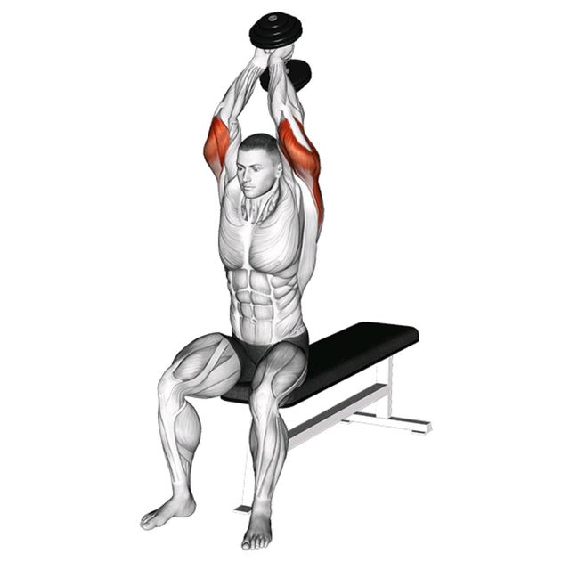 Dumbbell Tricep Extensions
