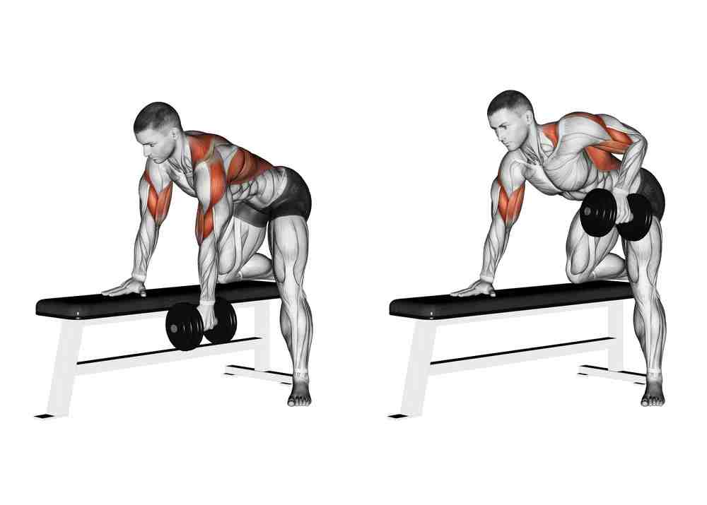 Bent-Over Rows