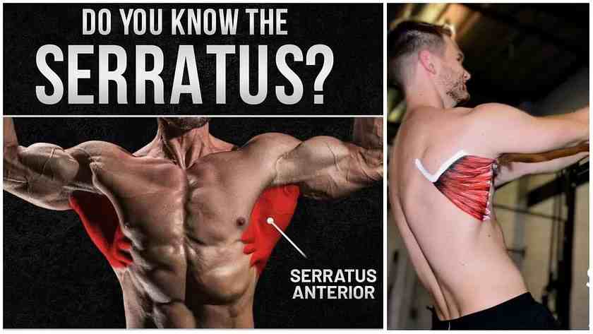 Serratus Anterior Stretch