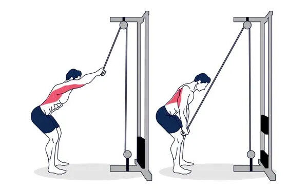 Cable Straight-Arm Pulldown
