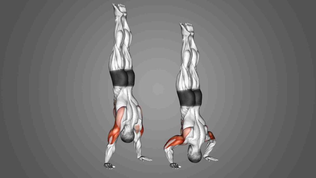 Handstand Push-Ups