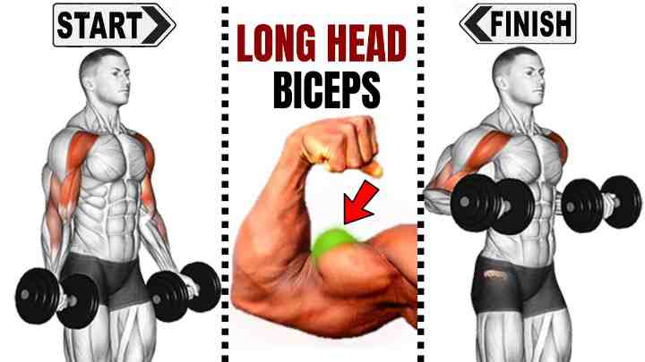 Bicep Long Head Exercises